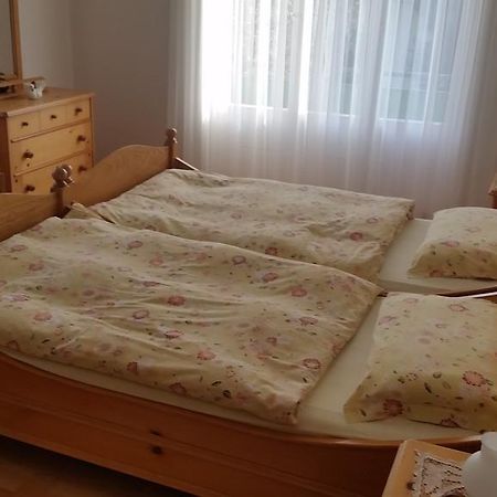 Casa Angela Apartment Локарно Стая снимка